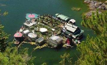 	夫妻两人建水上木屋居住20多年 水电蔬菜全部自给自足
