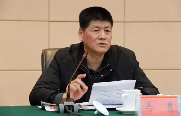 原益阳市长、湖南省委副秘书长马勇被抓了