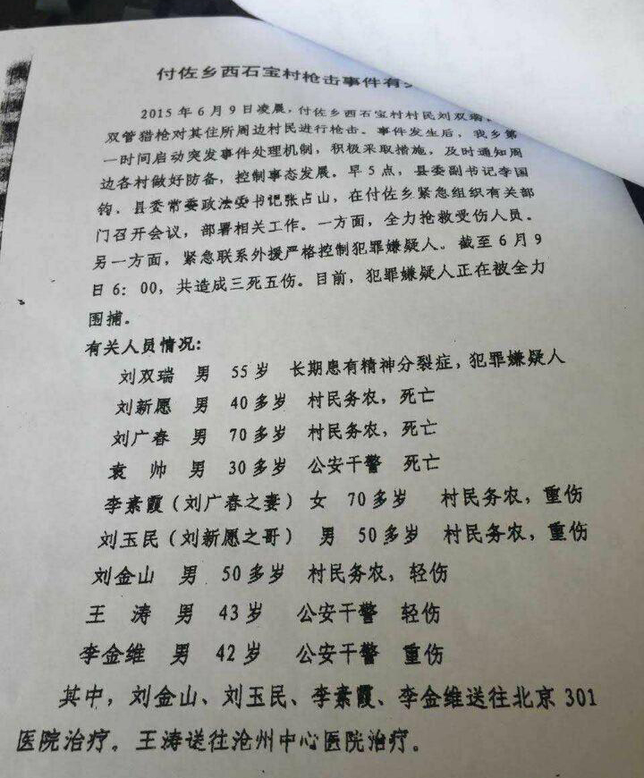 肃宁县城人口_肃宁县城最新规划图(2)