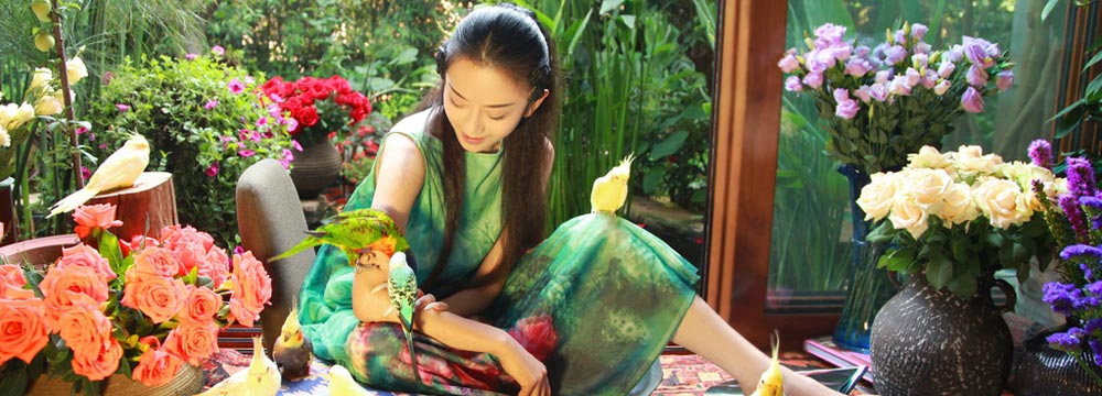   杨丽萍家中看书鸟儿相伴 似现实版“雀之灵”  