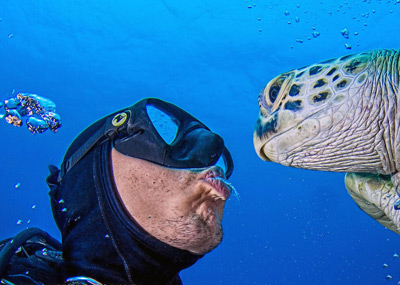 让我们与动物亲一个