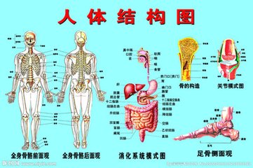 解剖中国传统文化 孔子是心脏|中国传统文化 结