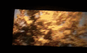 超污裸态床震图视频