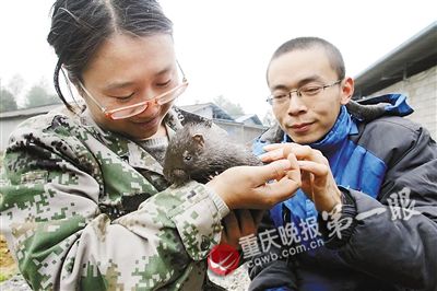 suv汽车大全10万左右_个人年收入10万(2)