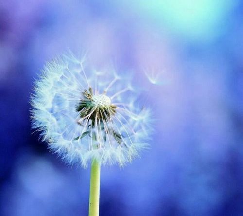 学诚法师:原谅别人 就是放过自己_凤凰山东