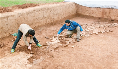 芈月葬骊山秦东陵 兵马俑与其无关|宣太后| 襄王