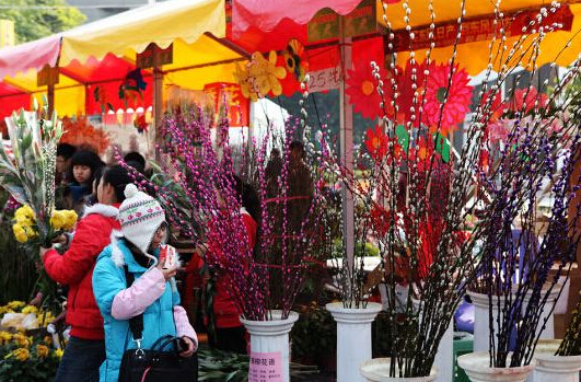 花市游玩攻略,昆明斗南花市游玩攻略