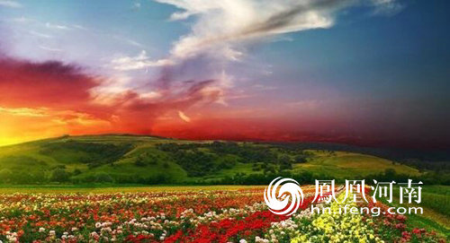 新怡和集团李刚总裁深入西九华山景区指导工作