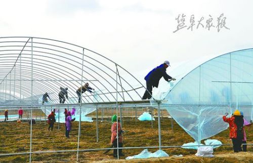 建湖县芦沟镇GDP_红领巾寻访 烈士命名镇村 活动 今日推荐 建湖县