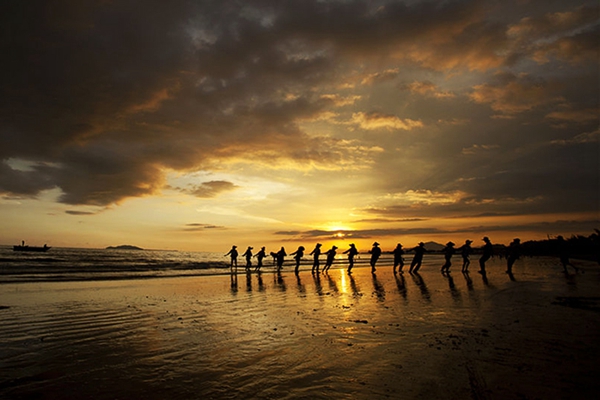 三亚湾景区|三亚湾|海风藤_凤凰海南