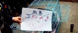 重庆女子当街蜷缩狗笼 50元把自己卖了