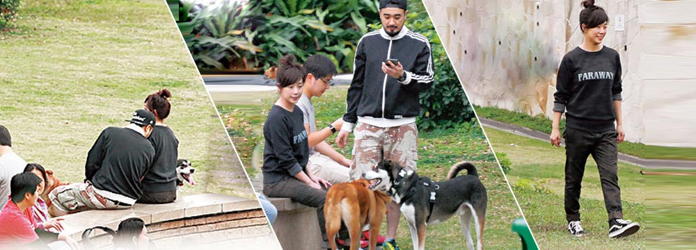 林忆莲与小11岁男友遛狗 男方靠其肩头休息
