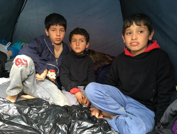 雨中的难民营,艾未未让叙女孩弹奏白钢琴(多图)