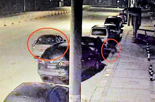  图为：视频监控显示刘某、李某深夜驾车偷后视镜