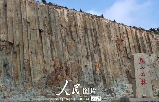 山东即墨市马山石林形成于大约一亿年前燕山晚期的火山运动,由潜粗面岩柱状节理石柱群组成,笔直挺拔,致密坚固,蔚为壮观。在潜粗面安山岩中发现此类柱状节理在我国尚属首例,与美国响岩体魔鬼塔和英国玄武岩巨人堤被誉为世界三大地质奇观之一。(梁孝鹏/人民图片)