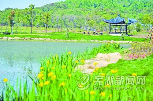 芜湖神山公园