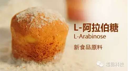 L-阿拉伯糖与人体健康
