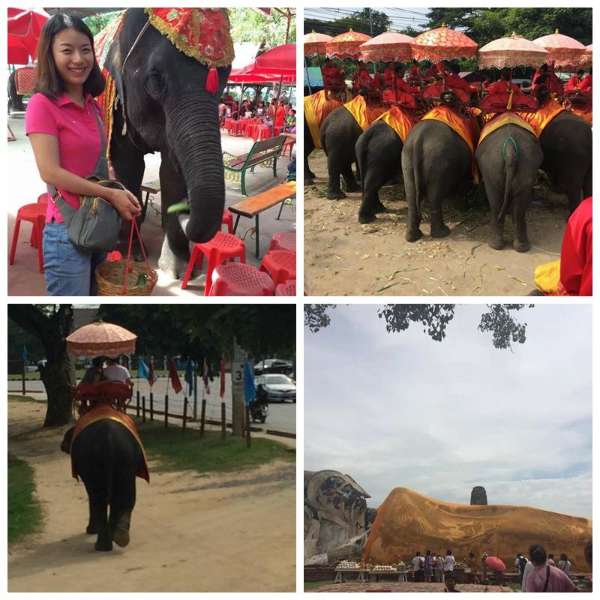 IMCPI赴新加坡、韩国、印尼、泰国等国对外汉