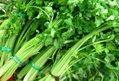 产后怎么快速丰胸 不可错过产后丰胸的最佳时间