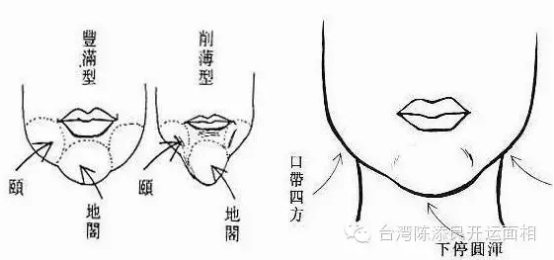 陈氏相法之财运事业的看法