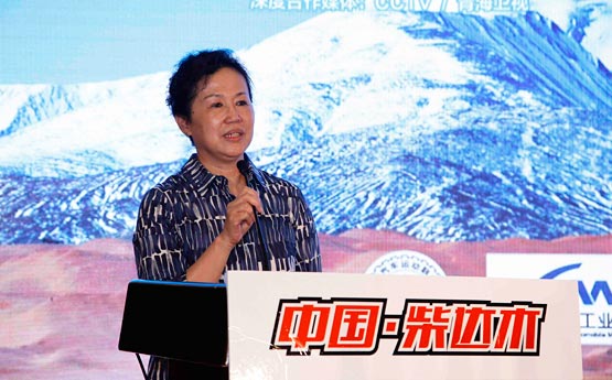 中国·柴达木2015全国摩托车越野锦标赛