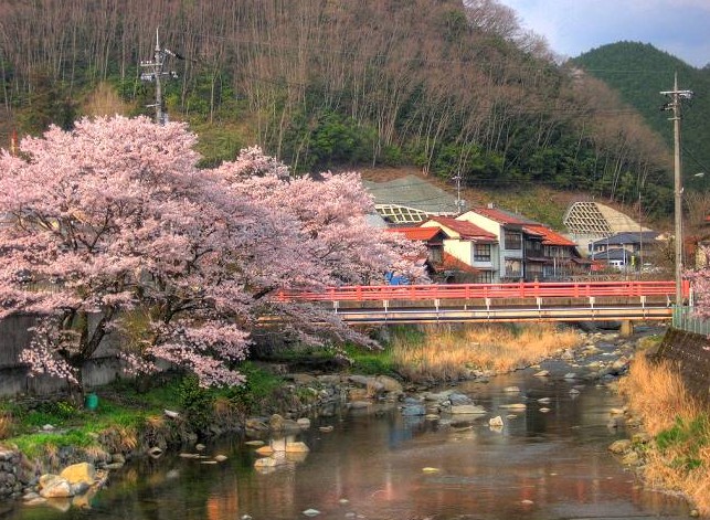 农村人口 乡村人口_农村人口流失