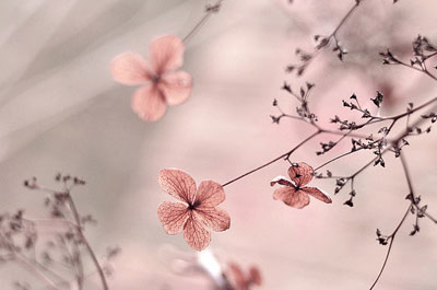4.8日<em>处女座工作</em>很有起色_星座频道_凤凰网