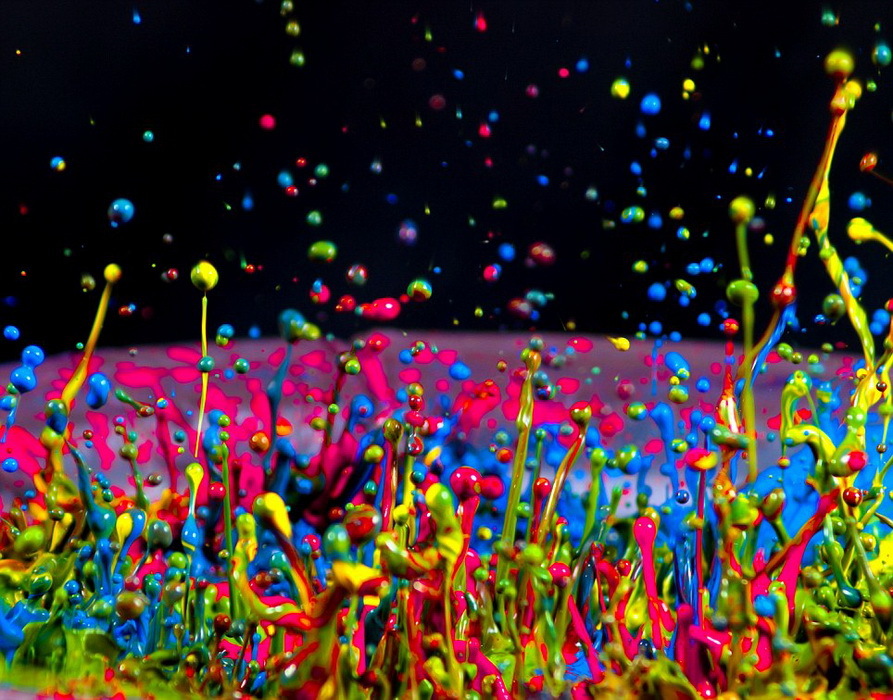 高清:2012索尼世界摄影大赛作品精选