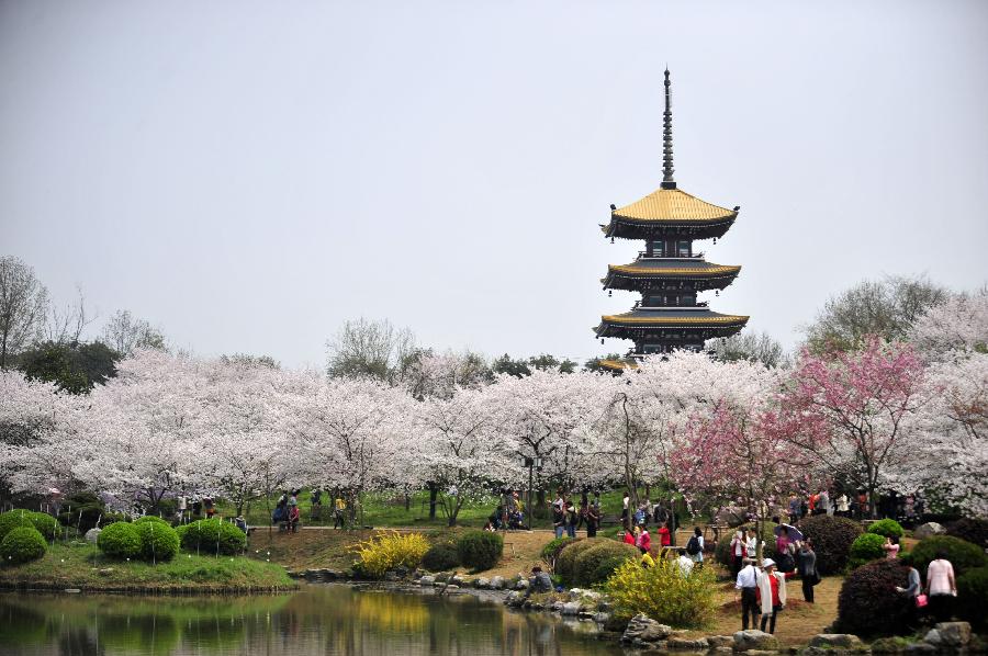 rdn_54fe33bcdbeb6.jpg