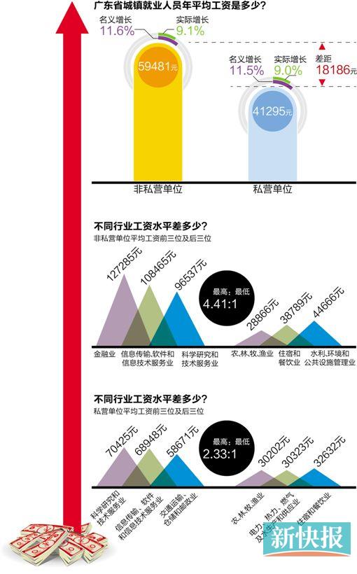 收入证明_员工收入统计(3)