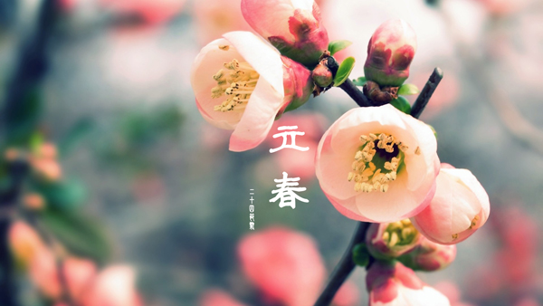 2015年立春出生的宝宝属马还是属羊？