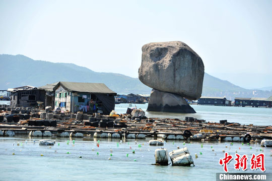 奇石屹立闽东鱼排养殖场