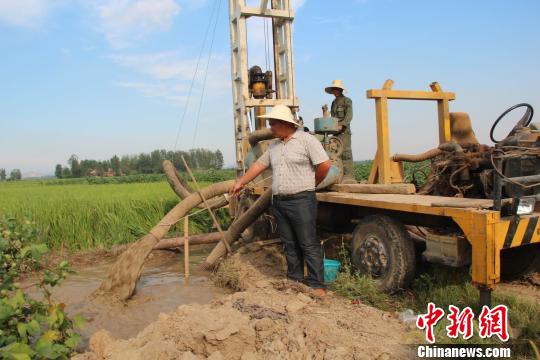 湖北荆门屈家岭遭遇大旱 村干部让出口粮田