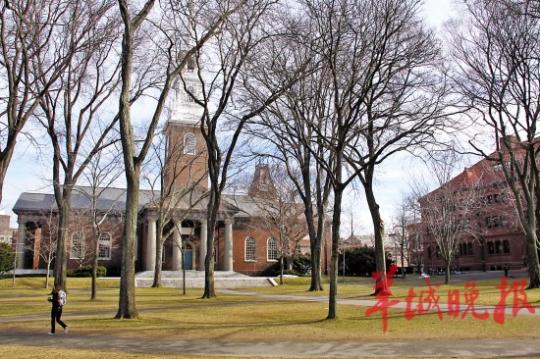 哈佛校园景色