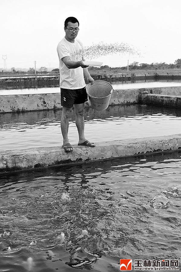 北流市合作之花结硕果