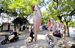 今天<em>小雪</em>正是冬腊风腌好时节 <em>宁波</em>下雪尚早_资