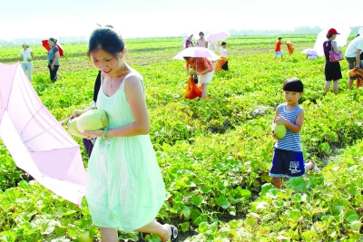 开创武汉现代都市农业的东西湖升级版