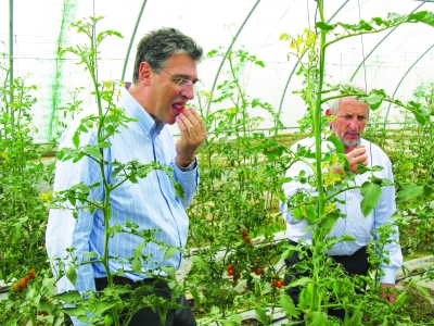 开创武汉现代都市农业的东西湖升级版