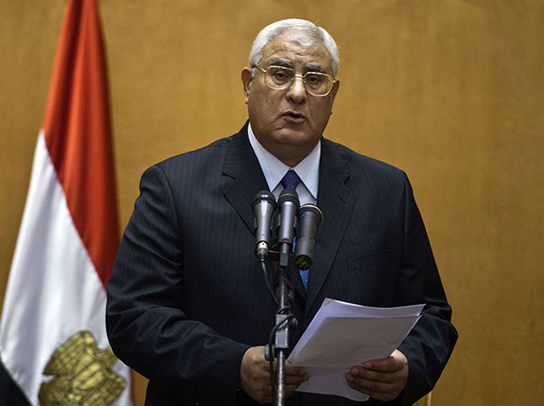 临时总统接受新宪法草案 强化国防部长权力|埃