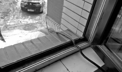 月末不交物业费 可能进不去家门|小区|物业费