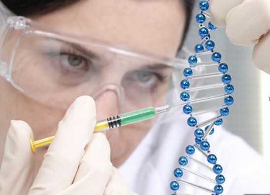 沙特制定人类基因组计划 研究地区性和慢性疾