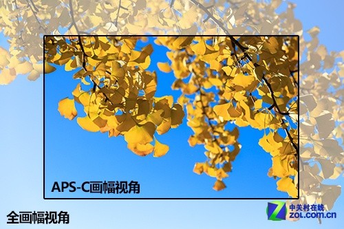 圆你全画幅情结 佳能EOS 6D深秋体验_科技频道_凤凰网