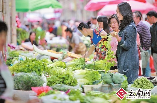 昆明东华新迎农贸市场本月25日营业|菜价|农贸