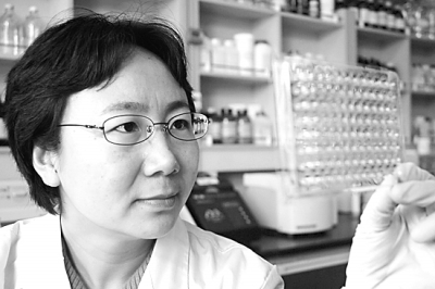 　　图为工作中的陈化兰研究员。 资料图片