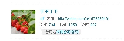 河南旅游官网已改名（网页截图）