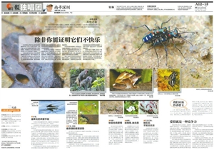 又是零收入的一天图片_美丽说一天的收入(2)