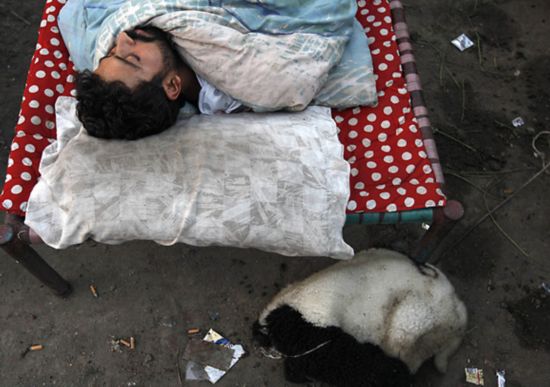 巴基斯坦推出2元野外住宿 新奇好玩引网友关注