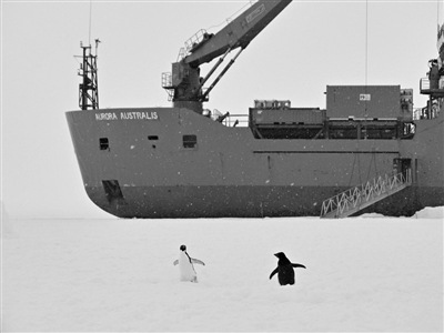 "雪龙"号救困或被困 周围海冰最厚达4米