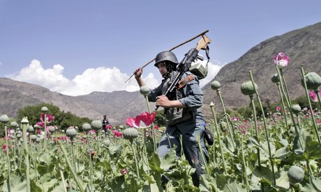 联合国:毒品贸易可能导致阿富汗变得四分五裂