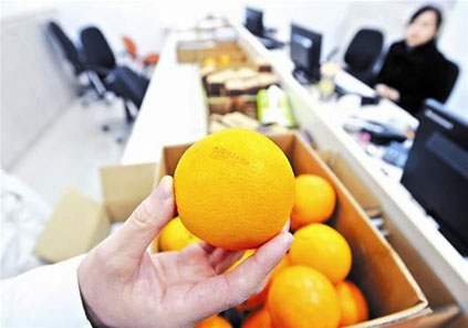 商界大佬务农记:四个为什么|农业|郑宇洁